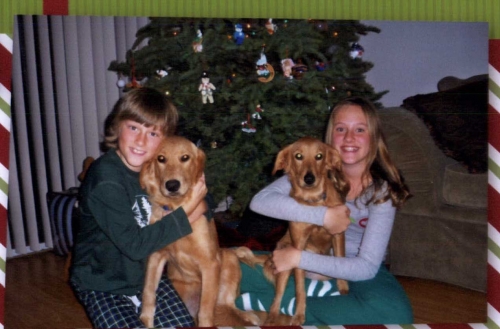 Bailey family with dogs